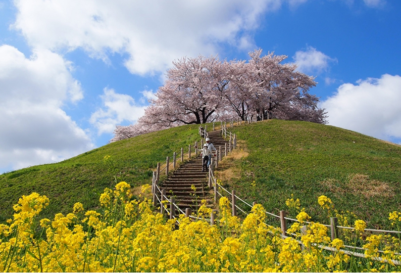 Sakitama Kofun Park